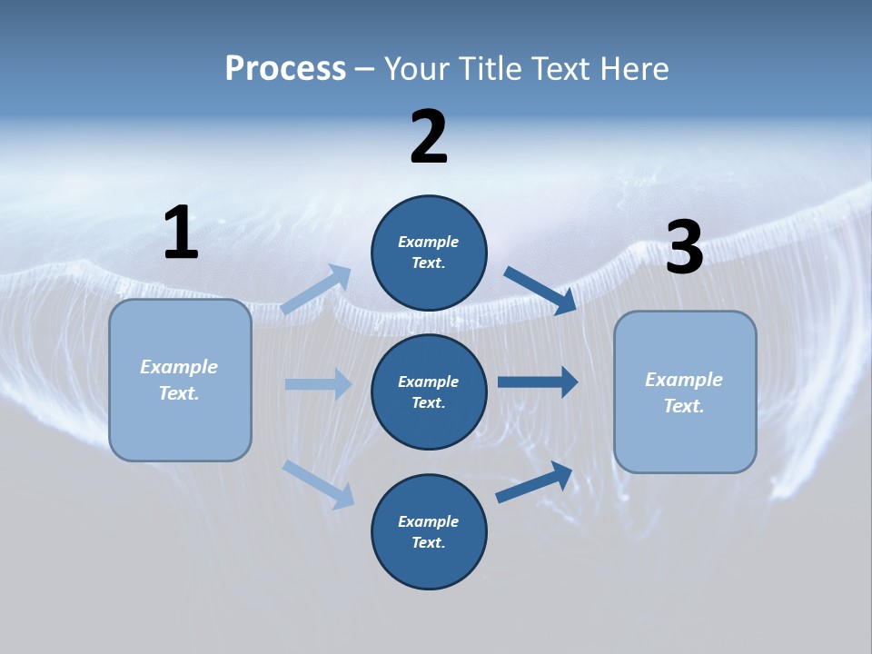 Wild Translucent Hanging PowerPoint Template