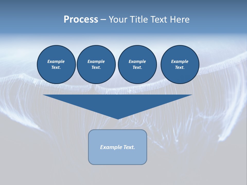 Wild Translucent Hanging PowerPoint Template