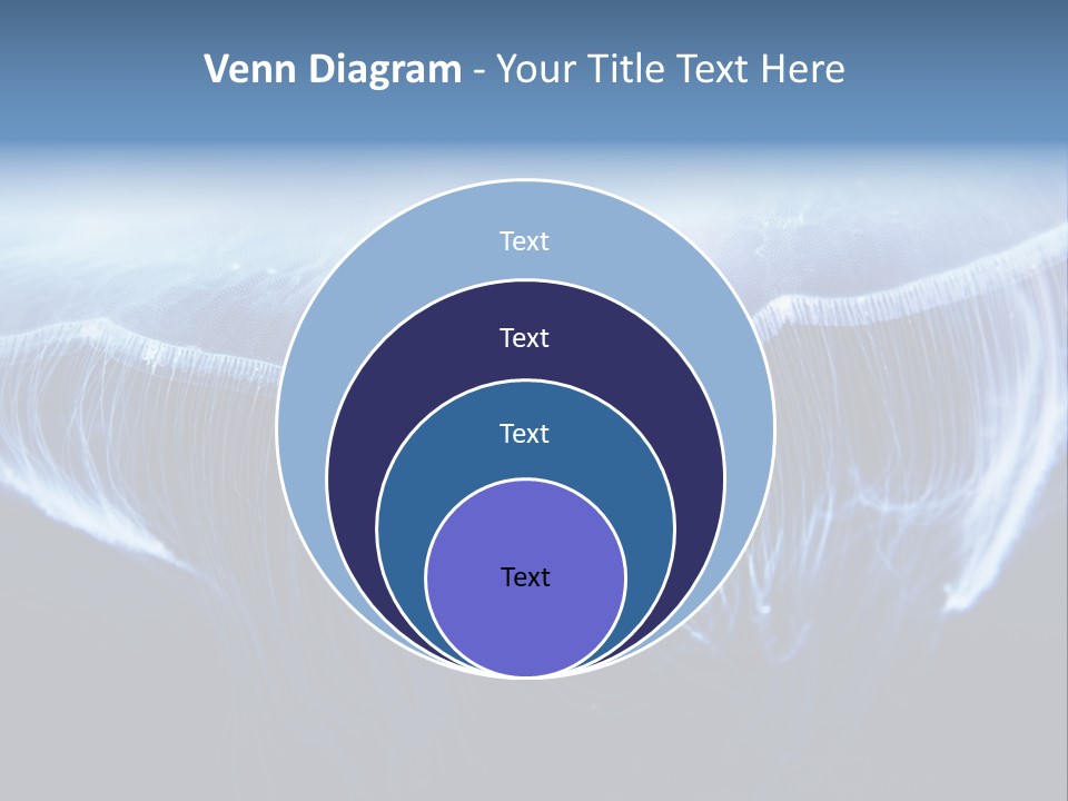 Wild Translucent Hanging PowerPoint Template