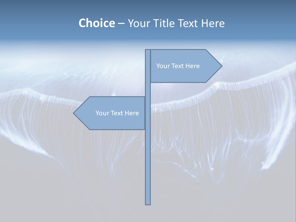 Wild Translucent Hanging PowerPoint Template