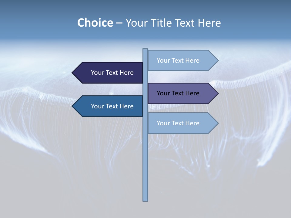 Wild Translucent Hanging PowerPoint Template
