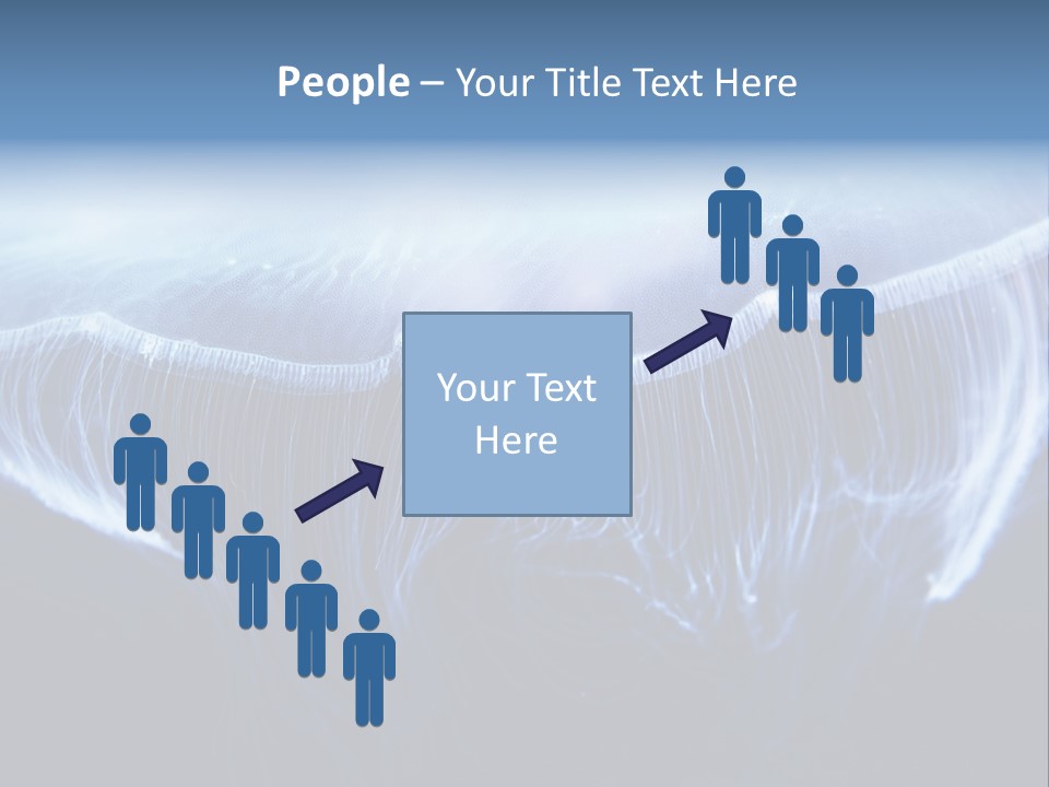 Wild Translucent Hanging PowerPoint Template