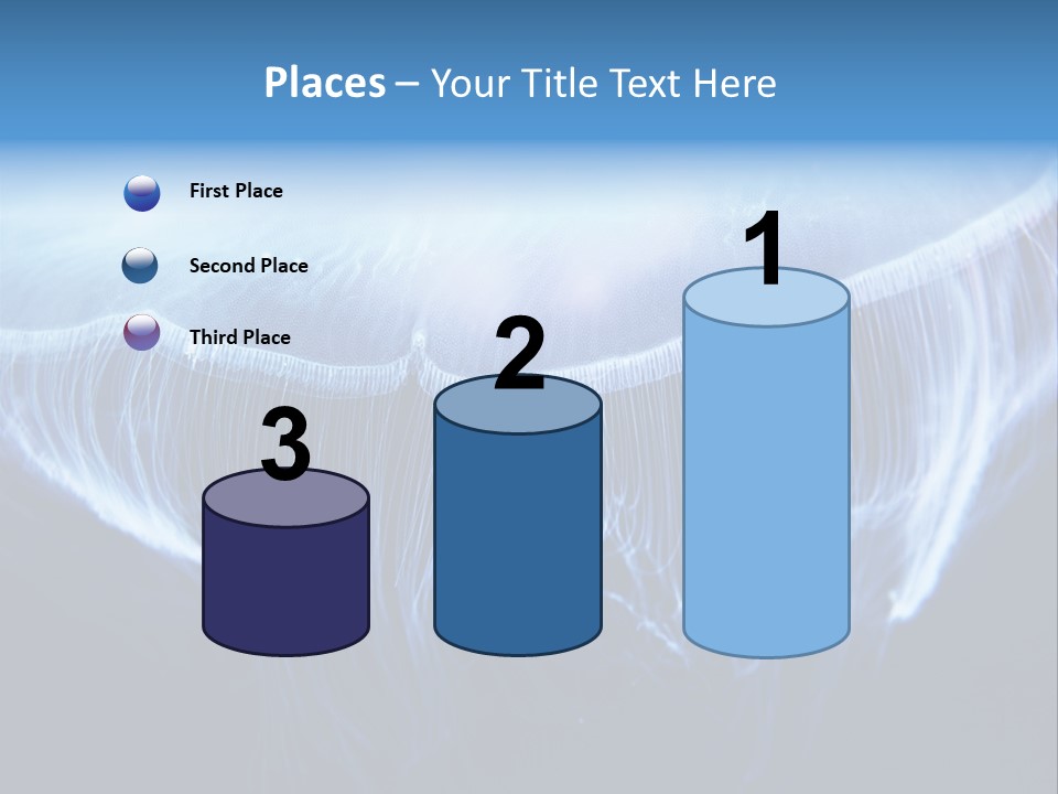 See Jellyfish Wild PowerPoint Template