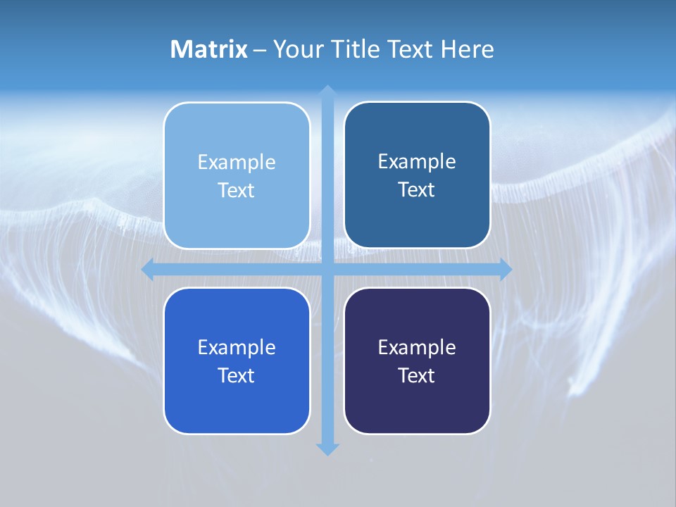 See Jellyfish Wild PowerPoint Template