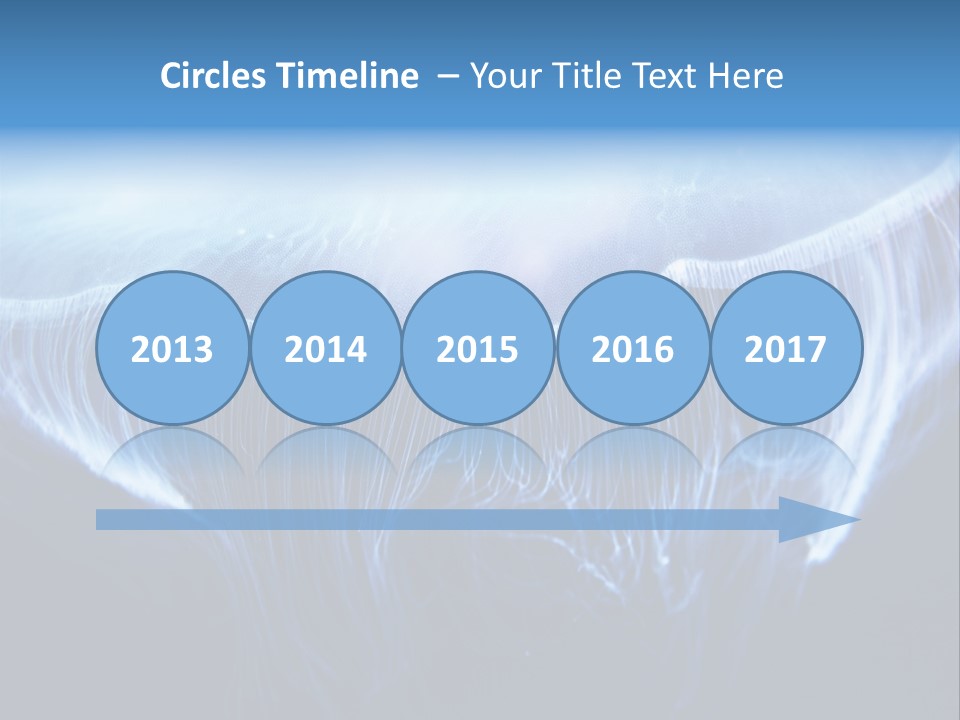 See Jellyfish Wild PowerPoint Template