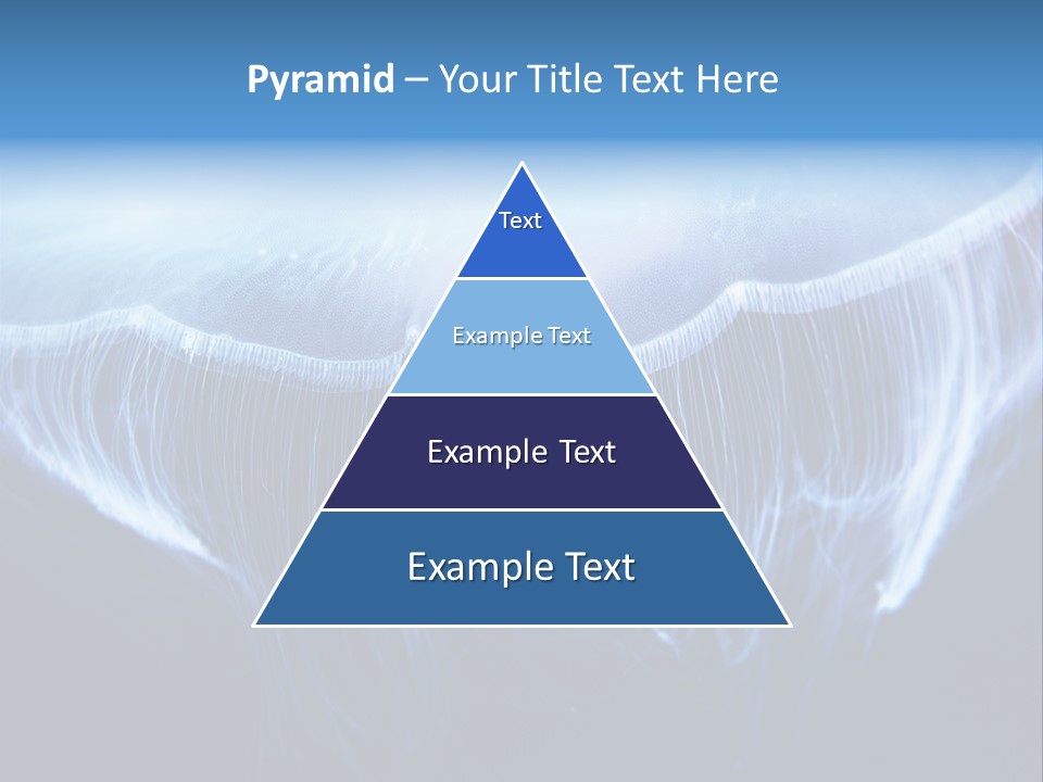 See Jellyfish Wild PowerPoint Template