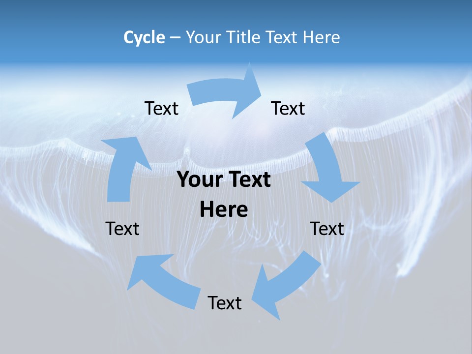 See Jellyfish Wild PowerPoint Template