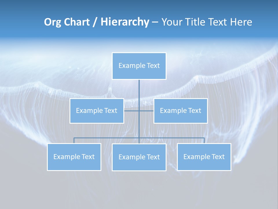 See Jellyfish Wild PowerPoint Template