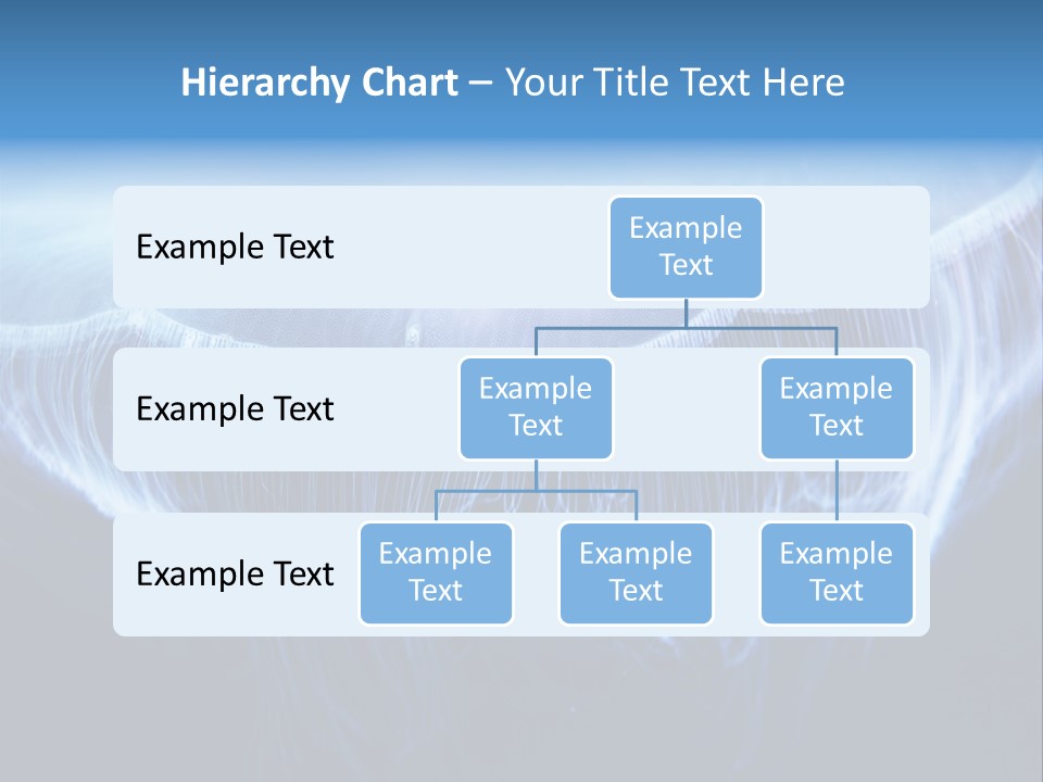 See Jellyfish Wild PowerPoint Template