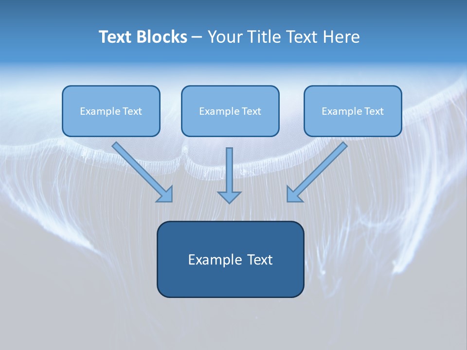 See Jellyfish Wild PowerPoint Template