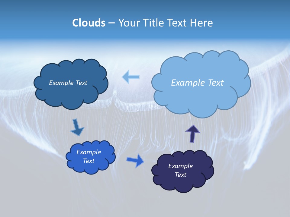 See Jellyfish Wild PowerPoint Template