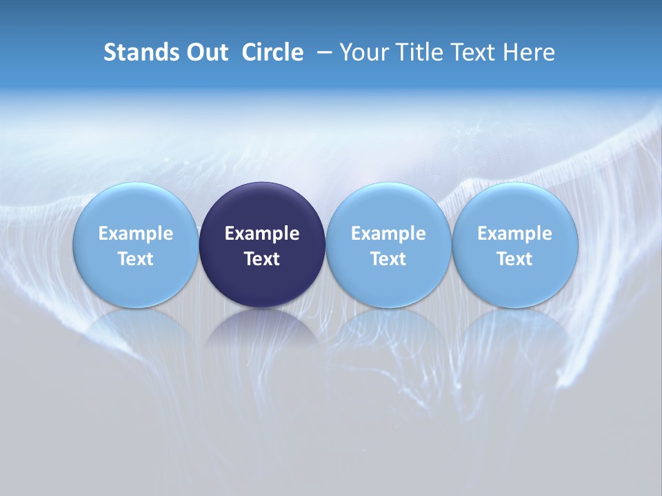 See Jellyfish Wild PowerPoint Template