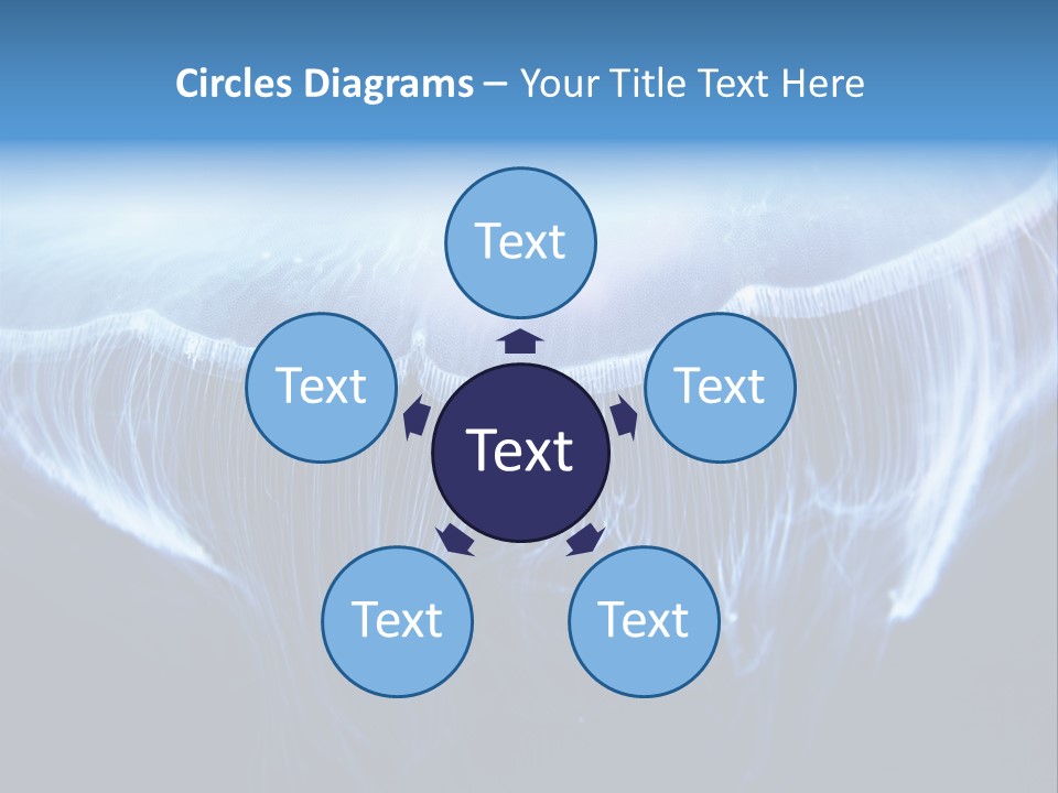 See Jellyfish Wild PowerPoint Template