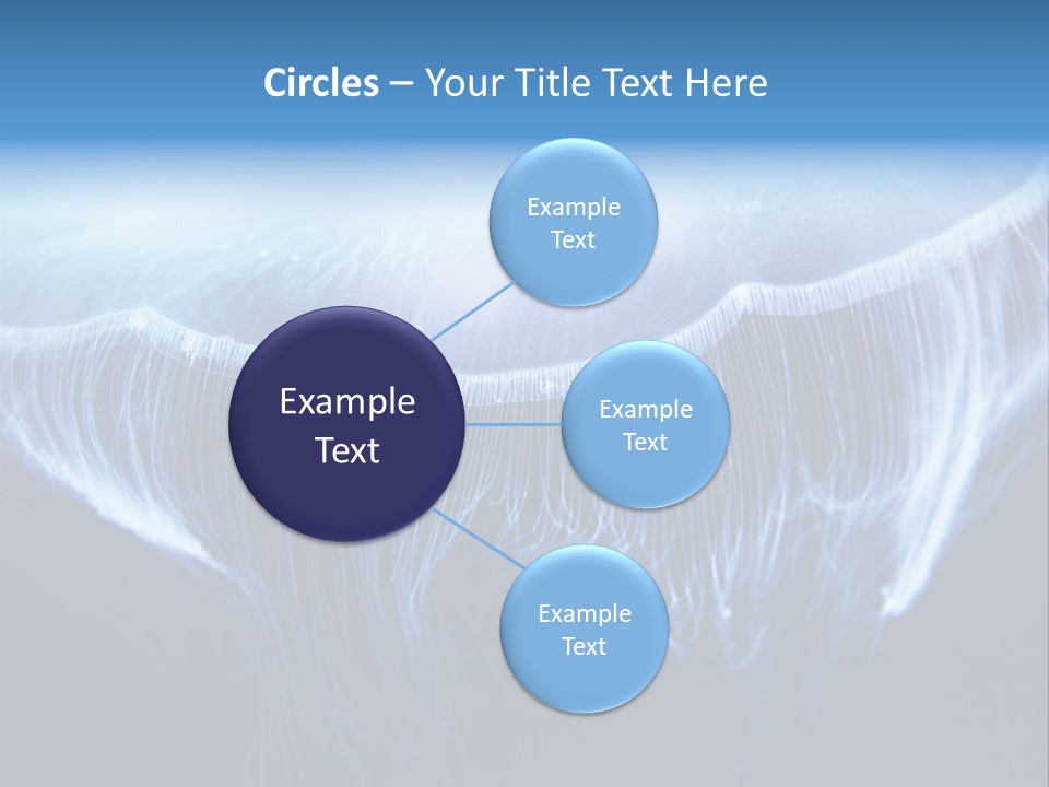 See Jellyfish Wild PowerPoint Template