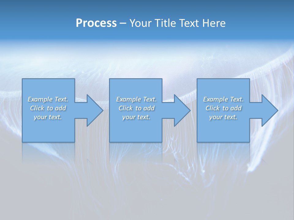 See Jellyfish Wild PowerPoint Template