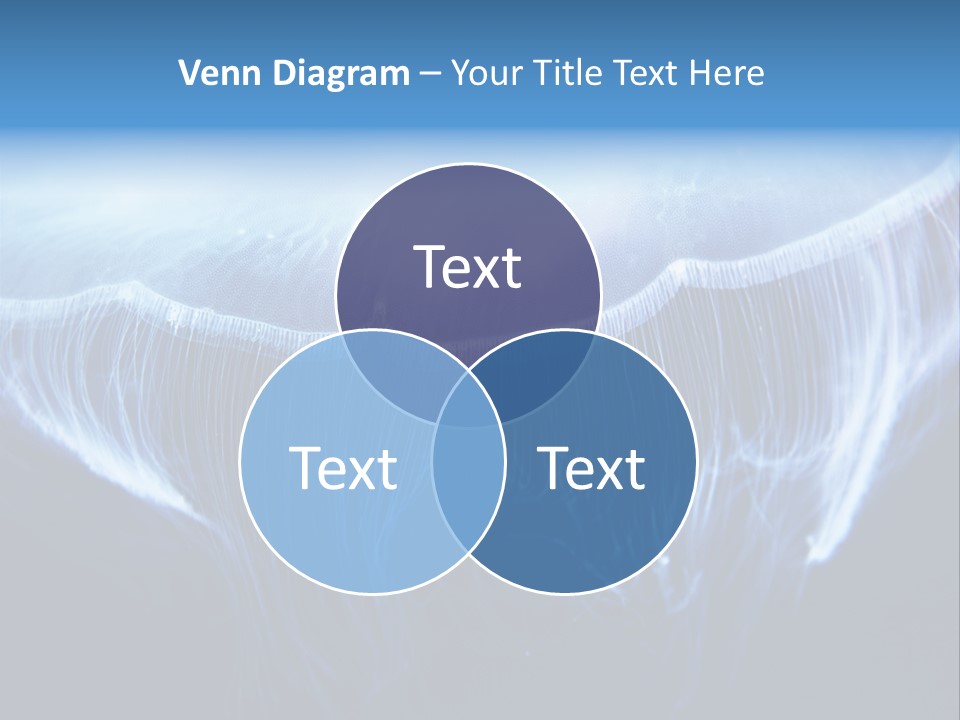 See Jellyfish Wild PowerPoint Template