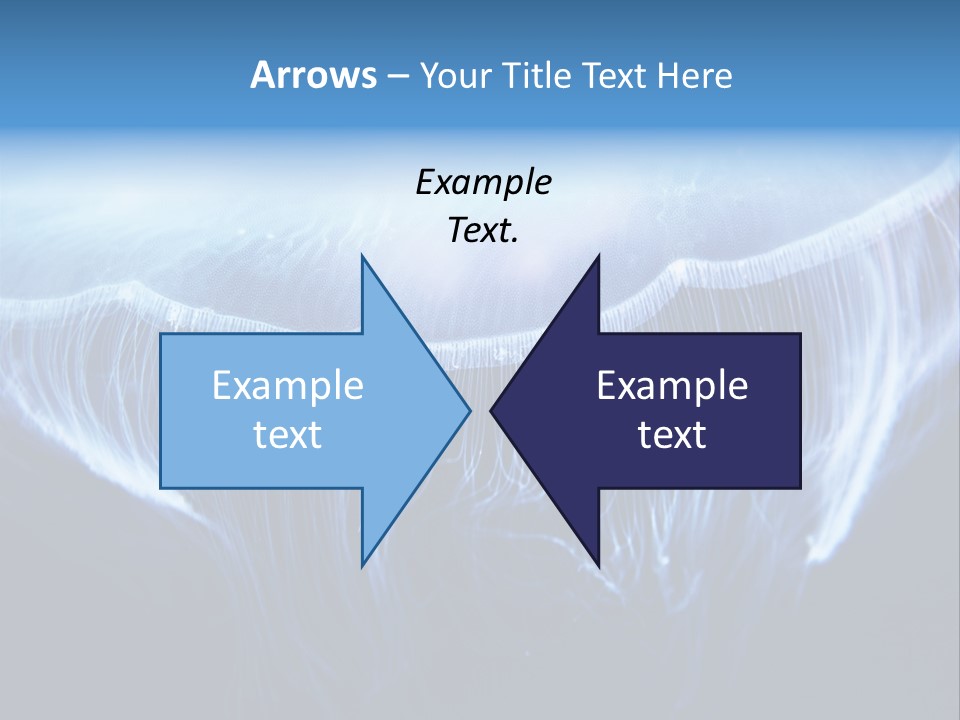 See Jellyfish Wild PowerPoint Template