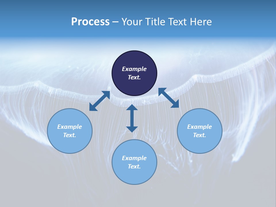 See Jellyfish Wild PowerPoint Template
