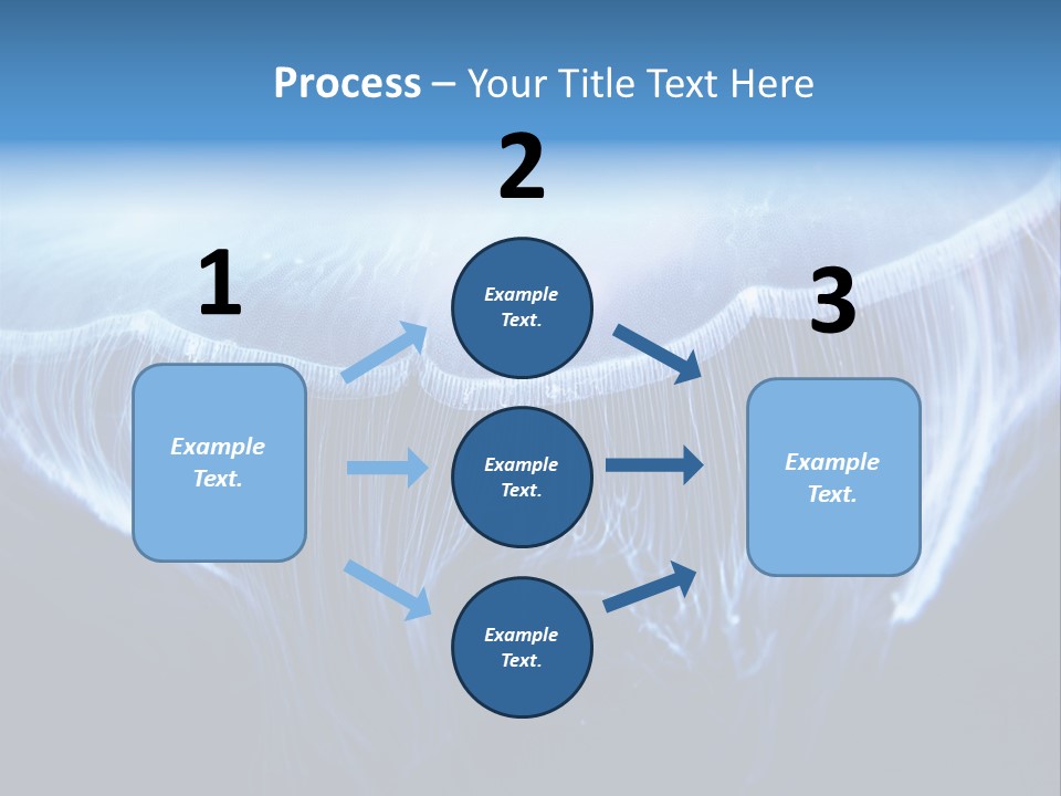 See Jellyfish Wild PowerPoint Template