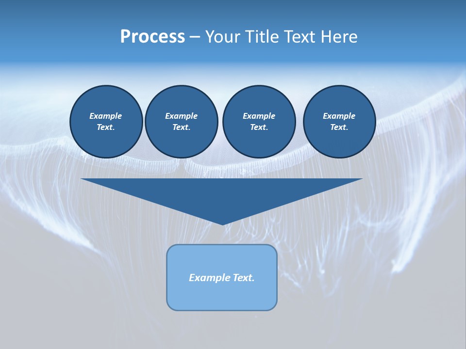 See Jellyfish Wild PowerPoint Template