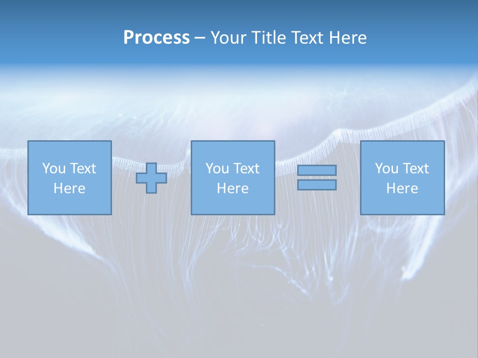 See Jellyfish Wild PowerPoint Template