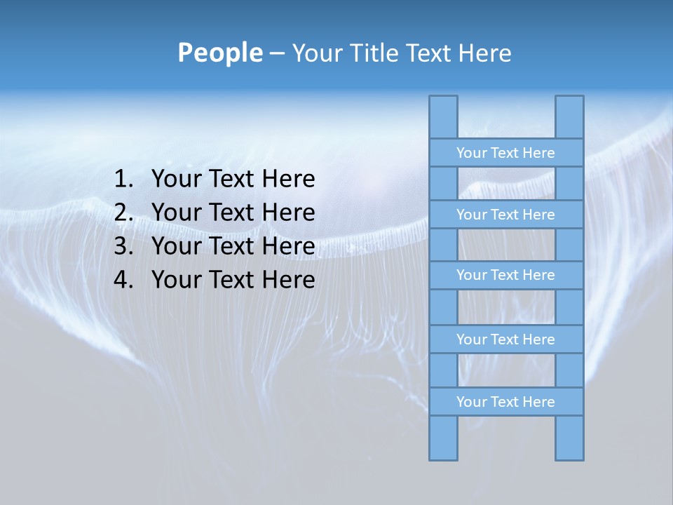 See Jellyfish Wild PowerPoint Template