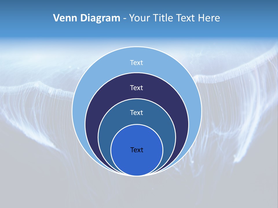See Jellyfish Wild PowerPoint Template