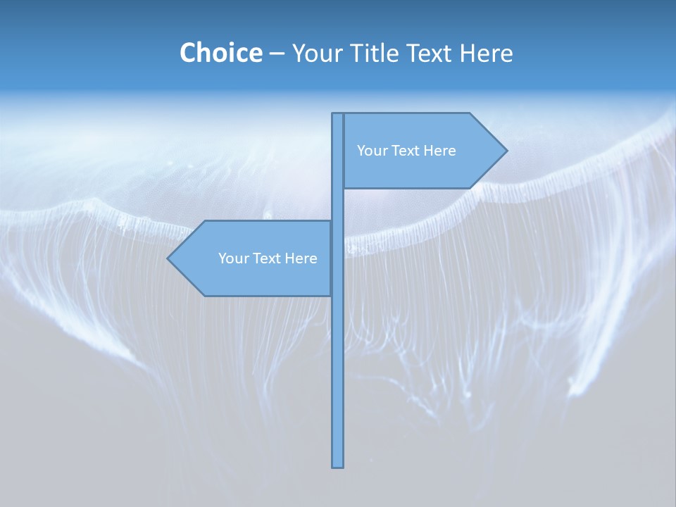 See Jellyfish Wild PowerPoint Template