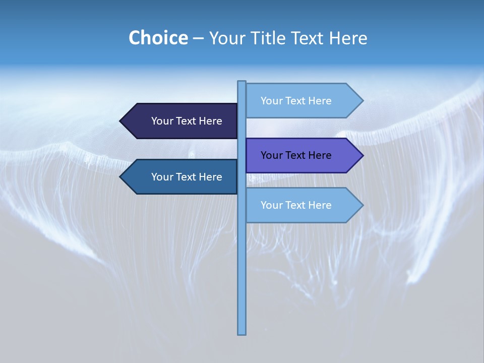 See Jellyfish Wild PowerPoint Template