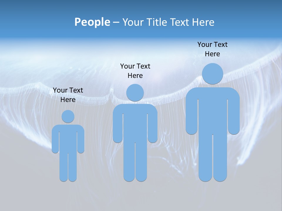 See Jellyfish Wild PowerPoint Template