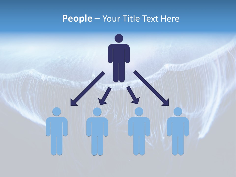 See Jellyfish Wild PowerPoint Template