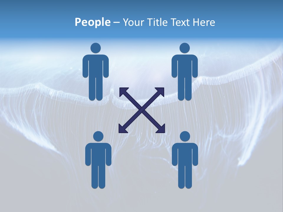 See Jellyfish Wild PowerPoint Template