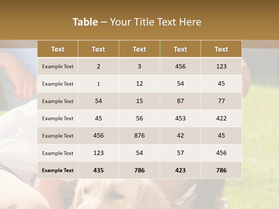 Partner Portrait Man PowerPoint Template