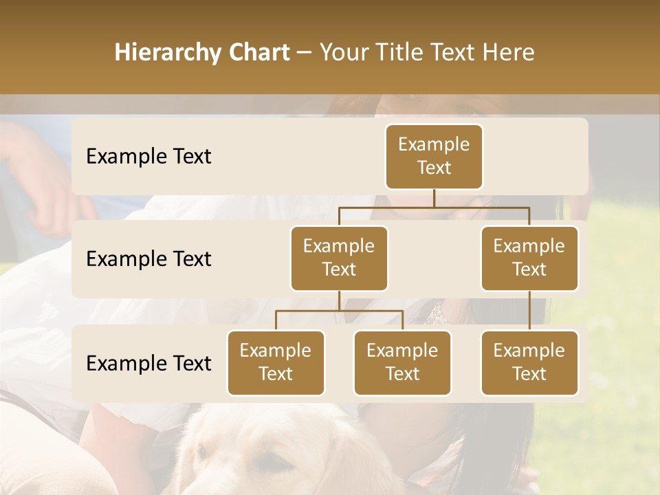 Partner Portrait Man PowerPoint Template