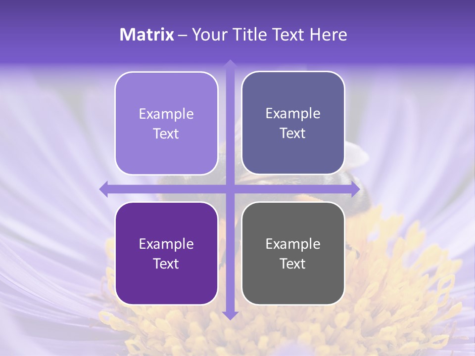 Botany Honey Colorful PowerPoint Template