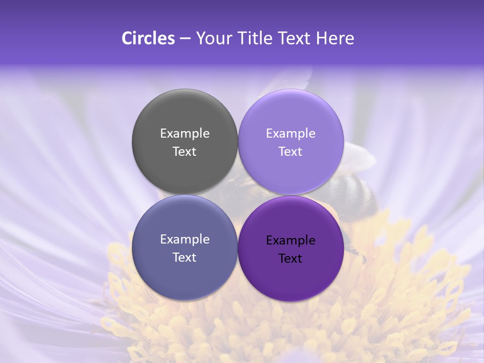 Botany Honey Colorful PowerPoint Template