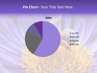 Botany Honey Colorful PowerPoint Template