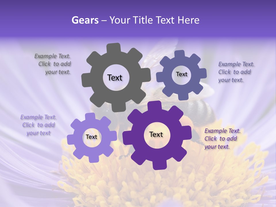 Botany Honey Colorful PowerPoint Template