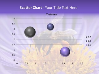 Botany Honey Colorful PowerPoint Template