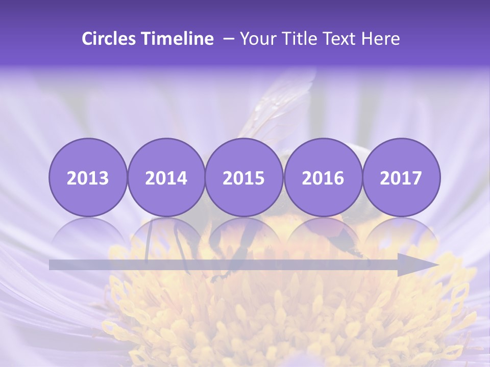 Botany Honey Colorful PowerPoint Template