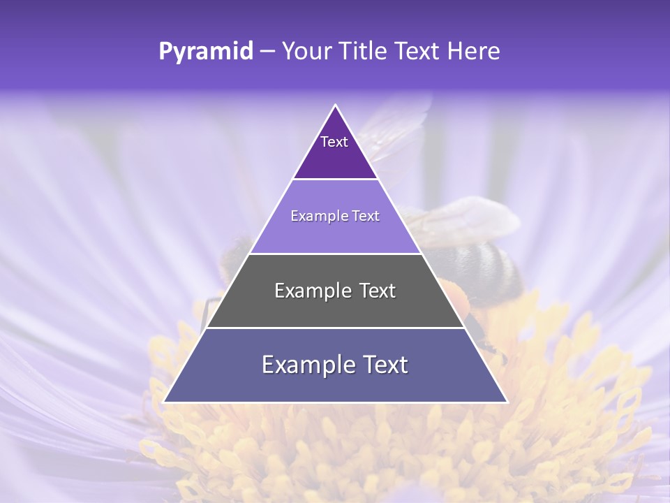 Botany Honey Colorful PowerPoint Template