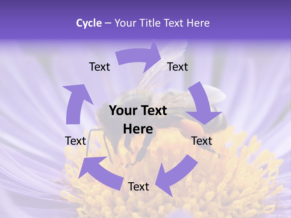 Botany Honey Colorful PowerPoint Template