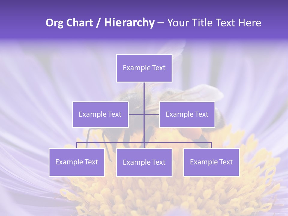 Botany Honey Colorful PowerPoint Template