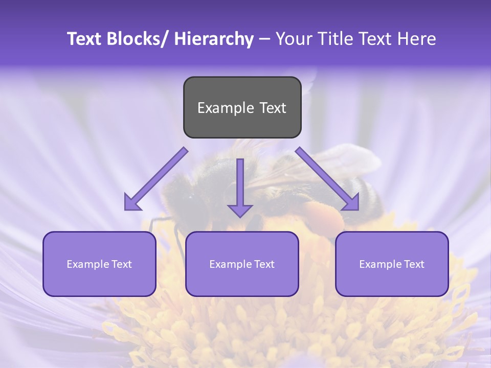 Botany Honey Colorful PowerPoint Template