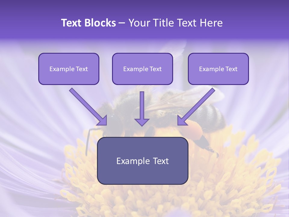 Botany Honey Colorful PowerPoint Template