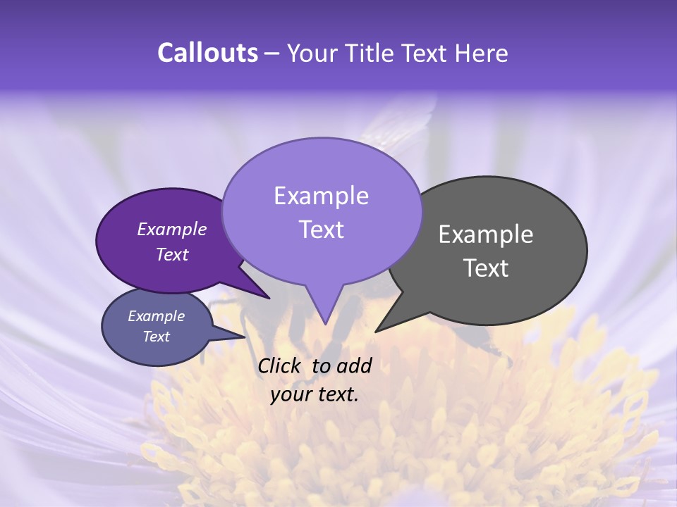 Botany Honey Colorful PowerPoint Template