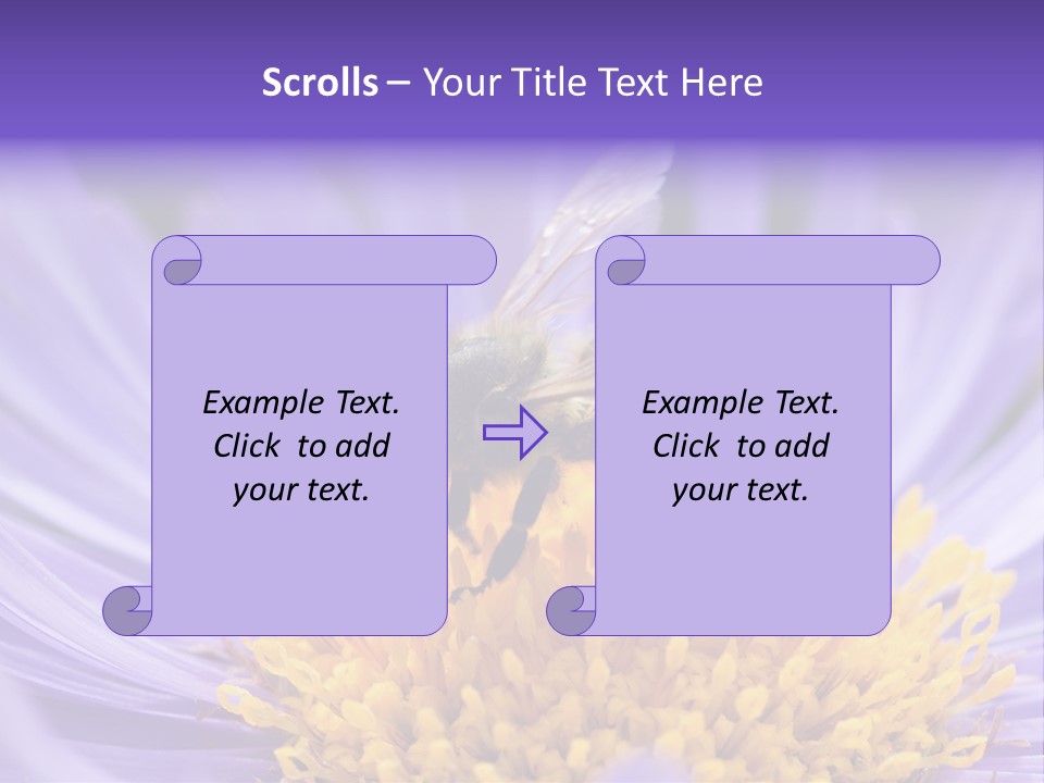 Botany Honey Colorful PowerPoint Template