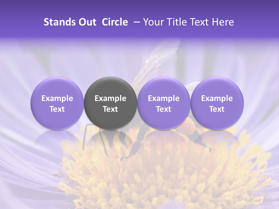 Botany Honey Colorful PowerPoint Template