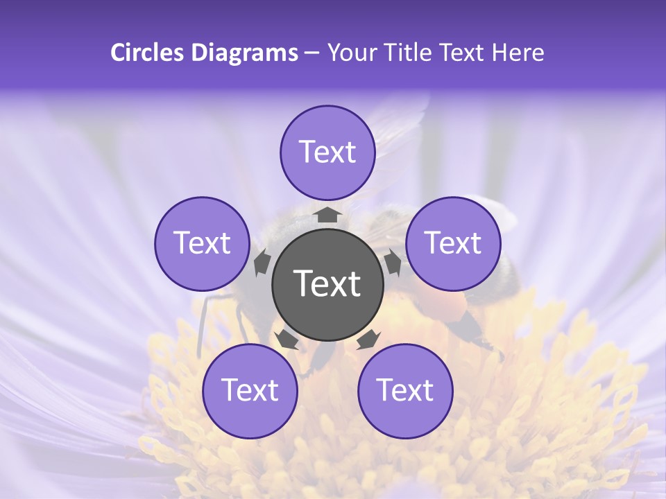 Botany Honey Colorful PowerPoint Template