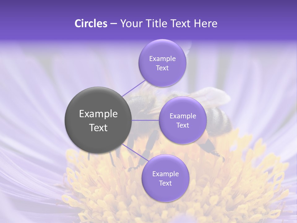 Botany Honey Colorful PowerPoint Template